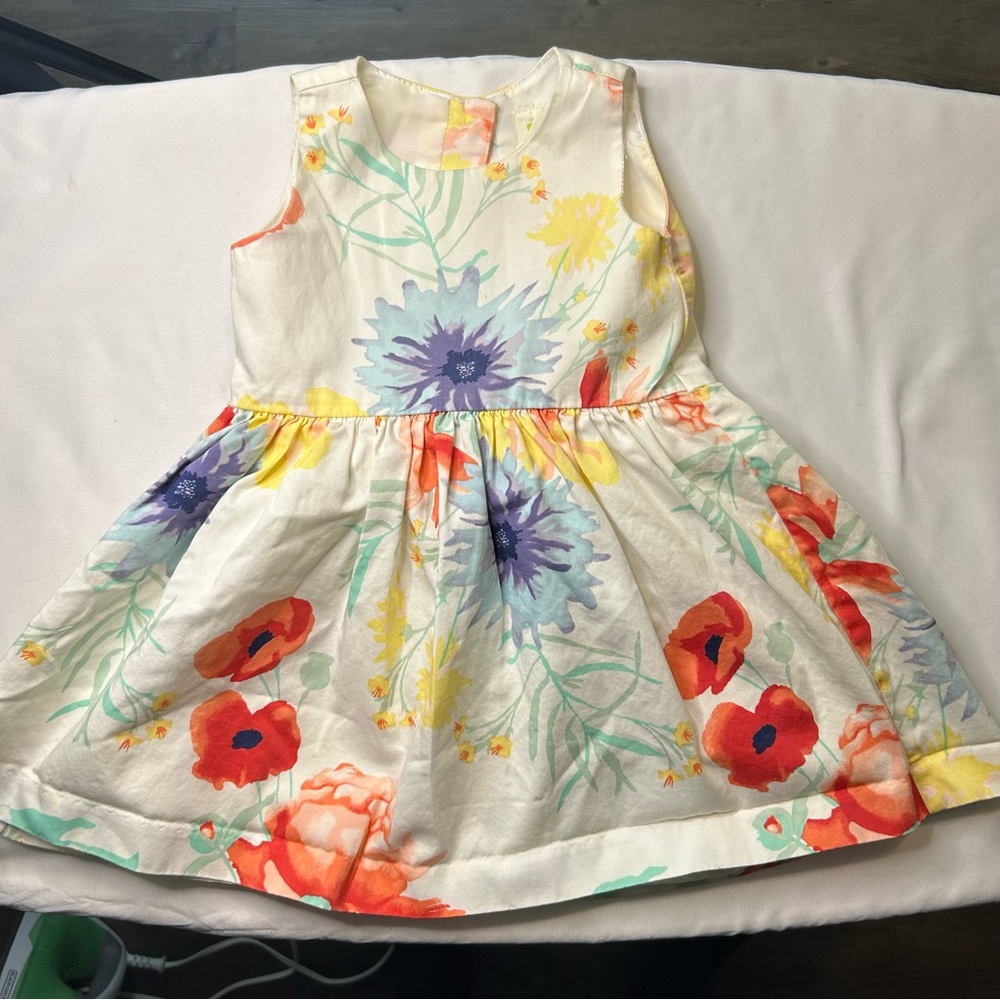 Beautiful Crazy 8 Floral Dress | 6-12 months